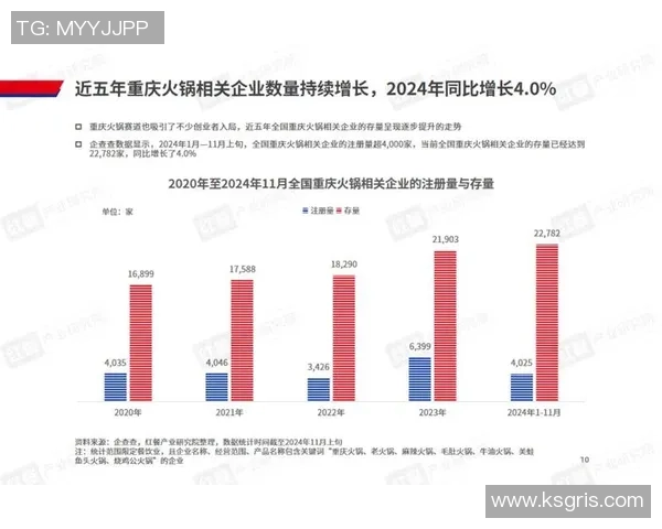 重庆飞盘队状态分析与未来发展展望探讨